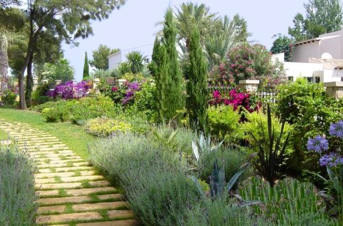 Tips voor uw tuin en terras