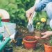 Tuinuitrusting die tuinieren gemakkelijker maakt