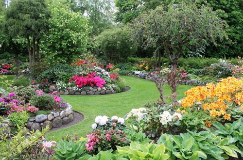 Verbeter uw tuin en terras